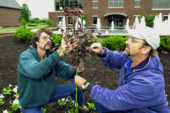 As UI's two-man 'flower crew' this summer, Al Rasmussen (left) and chuck Burdick are responsible for the flowers on campus. At the time of the interview they were in the midst of planting..
