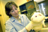 Polly Clabaugh has cared for animals at the UI for more than 18 years.