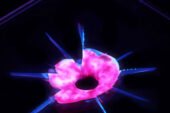 Illinois researchers have developed materials that not only heal, but regenerate. The restorative material is delivered through two, isolated fluid streams (dyed red and blue). The liquid immediately gels and later hardens, resulting in recovery of the entire damaged region. This image is halfway through the restoration process.