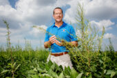 Crop sciences professor Aaron Hager examines herbicide-resistant waterhemp.