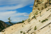 Students learned about the politics and other issues surrounding the national parks through an on-site course this June in the Greater Yellowstone area. One day's "sampler" hike gave students a chance to witness several examples of unwise behavior, including these tourists hanging out on the edge of the Grand Canyon of the Yellowstone.