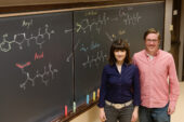Chemists led by University of Illinois professor M. Christina White and graduate student Thomas Osberger found that two small-molecule iron catalysts can oxidize chiral amino acids and peptides to an array of unnatural forms, giving researchers more options for developing drug candidates.