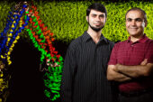Postdoctoral researcher Mahmoud Moradi, left, and biochemistry professor Emad Tajkhorshid discovered how a transporter protein changes its shape to shuttle other molecules across the cell membrane.