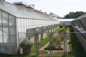 The exterior of a UI greenhouse equipped with energy shade curtains.