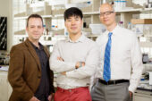 Illinois researchers found that the shape of a tumor may play a role in how cancer cells become primed to spread. From left: materials science and engineering professor Kristopher Kilian, graduate student Junmin Lee and veterinary medicine professor Timothy Fan.