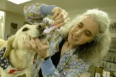 Jeanne Vitoux is a veterinary dental technician at the UI Small Animal Clinic, president of the Academy of Veterinary Dental Technicians, and a mentor and tutor in the veterinary technician program at Parkland College.