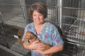 Deneen Cordell is a clinical coordinator of the veterinary interdisciplinary pain service at the Small Animal Clinic in the College of Veterinary Medicine.