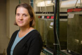 University of Illinois animal biology professor Rebecca Fuller and her colleagues found that killifish females that learn to avoid mating with other species also discriminate among members of their own species.