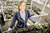 University of Illinois plant biology professor Katy Heath and her colleagues found that long-term nitrogen fertilizer use disrupts the mutually beneficial relationship between legumes and soil microbes.