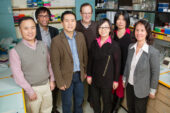 An interdisciplinary research team developed a new approach to treating endometriosis. The team includes, clockwise, from back left: molecular and integrative physiology professor Milan Bagchi, chemistry professor John Katzenellenbogen, visiting research scientist Ping Gong, molecular and integrative physiology professor Benita Katzenellenbogen, postdoctoral fellow Yiru Chen, research scientist Yuechao Zhao, and comparative biosciences professor CheMyong Ko.