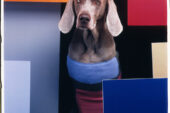 "In the Bauhaus," by William Wegman. 1999 Color Polaroid.