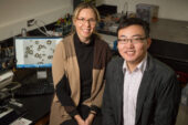 Illinois professor Nancy Sottos and postdoctoral researcher Wenle Li led a team that developed color-changing indicators to highlight microscopic cracks in structural materials.