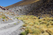 The road to Ojos del Salado is beautiful and harsh.