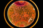Nesterenkonia, one of the microbial species used in this petri dish art, has been found in other high-altitude lakes in Argentina.