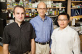 Biochemistry professor David Shapiro (center), M.D.-Ph.D student Neal Andruska (left), graduate student Xiaobin Zheng and their colleagues discovered a new mechanism by which estrogen contributes to the pathology of breast cancer.