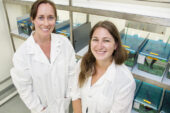University of Illinois animal biology professor Alison Bell, left, and doctoral student Laura Stein study how stickleback fish dads influence the behavior of their young.