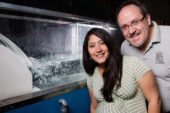 Researchers Tatiana Garcia, a graduate student, and civil and environmental engineering professor Marcelo Garcia developed a model that predicts how Asian carp eggs will disperse after spawning that will help resource managers develop strategies for preventing spread of the invasive species to the Great Lakes.