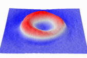 Topography of a red blood cell as measured by the SLIM optical technique. Though the cell keeps its shape as it ages, the membrane becomes less flexible.