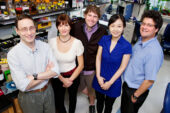 (from left) Phil Newmark, professor of cell and developmental biology; Elena Romanova, research scientist; Jim Collins, postdoctoral researcher; Xiaowen Hou, graduate student; and Jonathan Sweedler, professor of chemistry, conducted an in-depth study of the hormones that regulate development of the planarian flatworm.