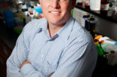 Animal sciences professor and Division of Nutritional Sciences director Rodney Johnson and his colleagues found that the plant compound luteolin can reduce brain inflammation and reverse age-related memory deficits in mice.