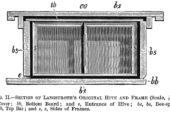 Lorenzo Langstroth's moveable frame hive incorporated "bee space," a 3/8-inch space that the bees use to navigate around the hive. The space enabled beekeepers to easily remove each honeycomb-laden frame and extract the honey with minimal damage to the comb or to the bees.