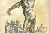 Anatomical studies from the Renaissance, like this etching by a 16th century anatomist who went by the name Andreas Vesalius, are used throughout the Body Worlds exhibits and in promotional materials to potential donors to connect the display of human bodies to the age-old study of anatomy.