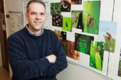Joseph Spencer, an insect behaviorist at the Illinois Natural History Survey, and his colleague found that the western corn rootworm will lay its eggs on Miscanthus and that the rootworm larvae can survive on Miscanthus rhizomes.