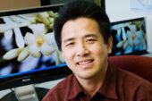 University of Illinois plant biology professor Ray Ming and his colleagues will find the sex determining regions on the papaya's three sex chromosomes, then use that information to produce a true-breeding hermaphrodite plant.