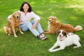 In "Canine and Feline Behavior and Training: A Complete Guide to Understanding Our Two Best Friends," author Linda P. Case explains the divergent evolutionary paths of dogs and cats as well as the forces that shape their behavior.