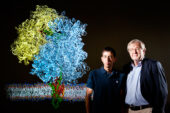 University of Illinois biophysics professor Klaus Schulten, right, and postdoctoral researcher James Gumbart used cryo-EM images as well as detailed structural information about the ribosome and other molecules to construct an atom-by-atom model of the system that threads a growing protein into the cellular membrane.