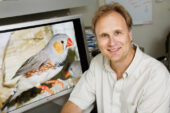 Cell and developmental biology professor David Clayton and his colleagues saw an unusual pattern of gene activity in the brains of zebra finches after the birds heard an unfamiliar song.