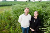 University of Illinois plant biology and Energy Biosciences Institute professor Evan DeLucia, EBI feedstock analyst Sarah Davis and their colleagues found that replacing the least productive corn acres with miscanthus would boost both corn and biofuel production.
