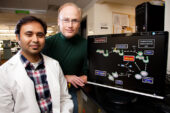 Microbiology professor Steven Blanke, right; doctoral student Prashant Jain and a colleague at Purdue University found a mechanism linking Helicobacter pylori infection, impairment of the mitochondria and cell death.