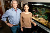 Rhanor Gillette, a University of Illinois molecular and integrative physiology professor, left, and graduate student Keiko Hirayama found a simple circuit in the sea slug brain that integrates hunger, sensory information and memory to drive the animal's response to the smell of food.