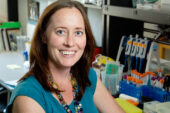 Animal biology professor Alison Bell received the Young Investigator Award from the Animal Behavior Society for "remarkable research contributions ... and the early training of young scholars" in her laboratory.