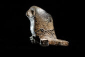 The Hopewell people used distinctive stone pipes, often with effigies on them, like this owl pipe found in an early village excavation in Illinois. Watch a slide show to see more pipes.