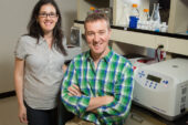 U. of I. chemical and biomolecular engineering professor Brendan Harley, right, and postdoctoral researcher Sara Pedron found a way to adjust the malignancy of brain cancer cells in a newly developed polymer gel that mimics conditions in the brain.