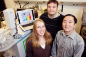 Chemistry graduate students Tiffany Hopper and Nick Marshall and professor Yi Lu have mimicked nature in their development of tailor-made proteins.