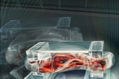 Tiny walking "bio-bots" are powered by muscle cells and controlled by an electric field.