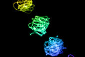 Plasma emission from collapsing bubbles: The imploding bubbles move around after each collapse, tracing out a lit path, like a person flinging their arm around while holding a flashlight.