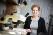 In studies of mice, comparative biosciences professor Jodi Flaws and her colleagues linked phthalate exposure during pregnancy to reproductive problems in parent and offspring, and to degradation of the function and structure of the ovaries.