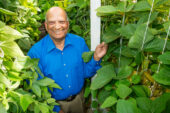 Research geneticist Ram Singh crossed soybean with a related wild, perennial plant from Australia, introducing new genetic diversity to the soybean plant.