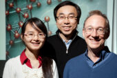 Illinois researchers, from left, doctoral student Qian Chen, research scientist Sung Chul Bae and Steve Granick, professor of materials science and engineering and of physics, developed tiny, simple spheres that self-assemble into intricate structures, such as a lattice that could function as a filter.