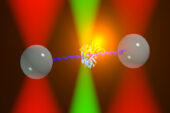 Illinois researchers developed a new technique that combines optical traps (red) with fluorescence (green) to study the proteins that regulate DNA.
