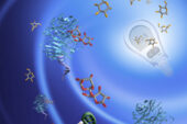 University of Illinois chemists coupled functional DNA sensors and glucose meters for fast, easy, portable detection of drugs, toxins, disease markers and other molecules in blood, water or food.