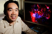 Astronomy professor Tony Wong led an international team of astronomers to create a detailed map of star-forming regions of the Large Magellanic Cloud, a neighboring galaxy.