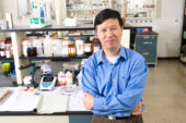 University of Illinois professor Ning Wang and colleagues in China use soft gels to culture the elusive cells that spread cancer from the primary tumor to other places in the body.