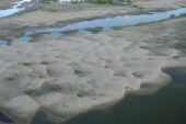 Sand deposits were worked into trains of dunes when flood water flowed into the Bonnet Carr Spillway in Lousiana. Once the flood subsided and the spillway was closed, the water drained and dried from the spillway, thereby exposing the dunes. Trees and shrubs near the top of the oblique aerial photograph provide scale.