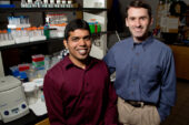 U. of I. chemists - professor Scott Silverman, right, and graduate student Jagadeeswaran Chandrasekar - synthesized a DNA catalyst that can perform a difficult reaction usually catalyzed by the protein enzyme phosphatase.