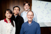 Researchers led by Founder Professor of Engineering Steve Granick, right, have developed tiny spheres that attract water to form "supermolecule" structures. Team members, from left, Qian Chen, doctoral student in materials science and engineering; Sung Chul Bae, research scientist; and Jonathan Whitmer, doctoral student in physics.